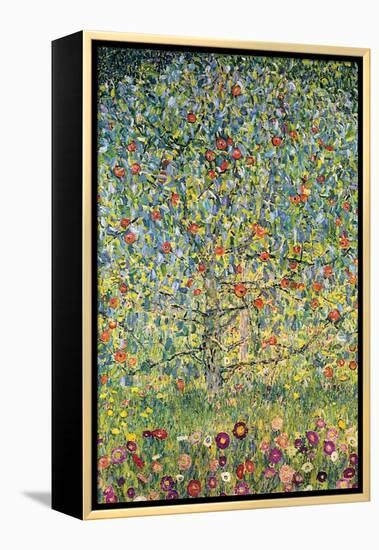 Apple Tree-Gustav Klimt-Framed Stretched Canvas