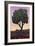 Apple Tree-James W Johnson-Framed Giclee Print