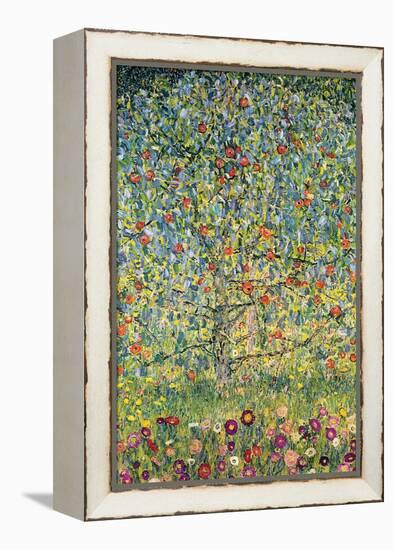 Apple Tree-Gustav Klimt-Framed Stretched Canvas