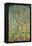 Apple Tree-Gustav Klimt-Framed Stretched Canvas