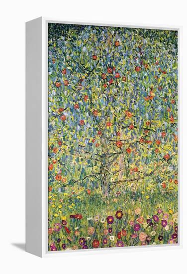 Apple Tree-Gustav Klimt-Framed Stretched Canvas