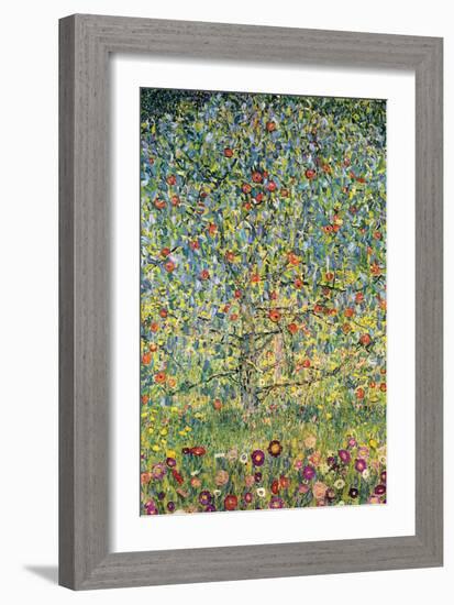 Apple Tree-Gustav Klimt-Framed Art Print