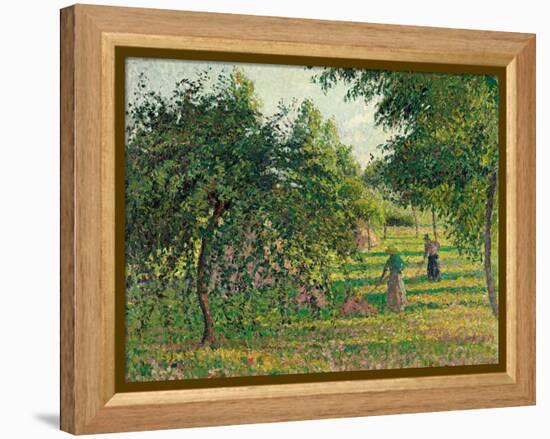 Apple Trees and Hay Makers at Eragny (Pommiers et Faneuses, Eragny). 1895-Camille Pissarro-Framed Premier Image Canvas