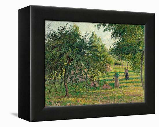 Apple Trees and Hay Makers at Eragny (Pommiers et Faneuses, Eragny). 1895-Camille Pissarro-Framed Premier Image Canvas