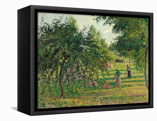 Apple Trees and Hay Makers at Eragny (Pommiers et Faneuses, Eragny). 1895-Camille Pissarro-Framed Premier Image Canvas