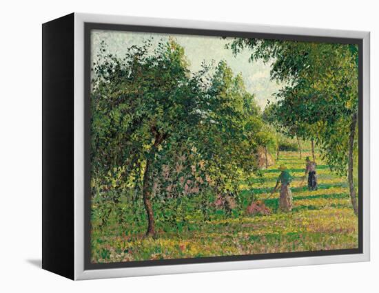 Apple Trees and Hay Makers at Eragny (Pommiers et Faneuses, Eragny). 1895-Camille Pissarro-Framed Premier Image Canvas