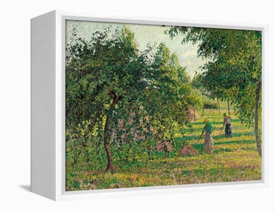 Apple Trees and Hay Makers at Eragny (Pommiers et Faneuses, Eragny). 1895-Camille Pissarro-Framed Premier Image Canvas