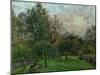 Apple Trees and Poplars in a Sunset, 1901-Camille Pissarro-Mounted Giclee Print