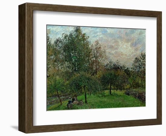 Apple Trees and Poplars in a Sunset, 1901-Camille Pissarro-Framed Giclee Print