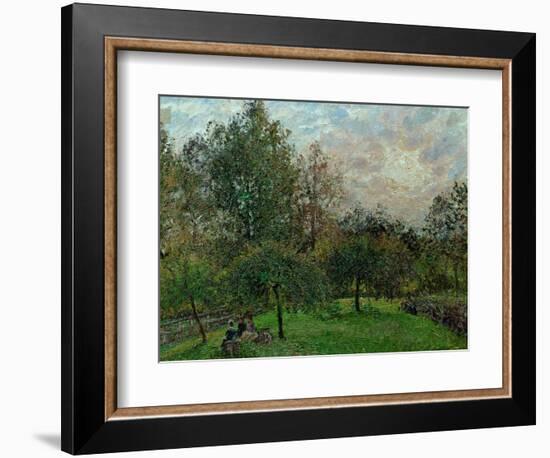 Apple Trees and Poplars in a Sunset, 1901-Camille Pissarro-Framed Giclee Print