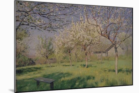 Apple Trees Blooming, C. 1895-Isaak Ilyich Levitan-Mounted Giclee Print