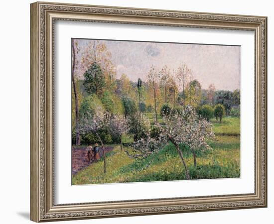 Apple Trees in Blossom, Eragny, 1895-Camille Pissarro-Framed Giclee Print