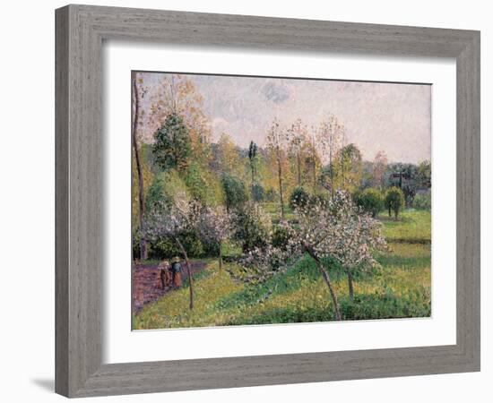 Apple Trees in Blossom, Eragny, 1895-Camille Pissarro-Framed Giclee Print