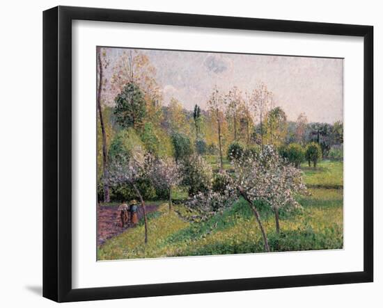 Apple Trees in Blossom, Eragny, 1895-Camille Pissarro-Framed Giclee Print