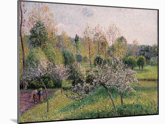 Apple Trees in Blossom, Eragny, 1895-Camille Pissarro-Mounted Giclee Print