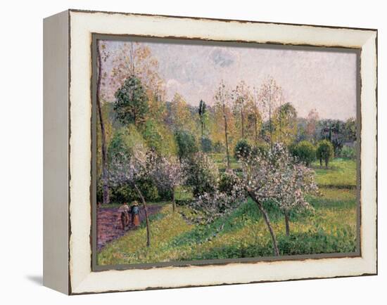 Apple Trees in Blossom, Eragny, 1895-Camille Pissarro-Framed Premier Image Canvas