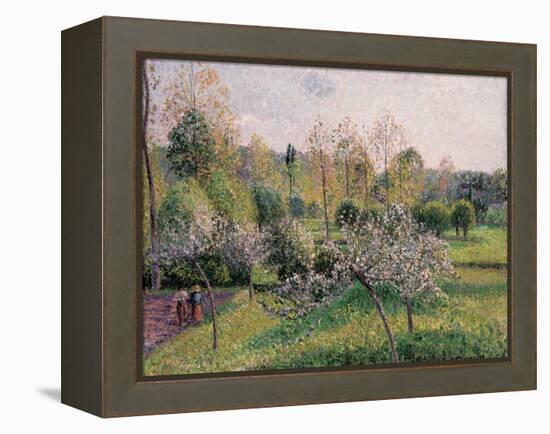 Apple Trees in Blossom, Eragny, 1895-Camille Pissarro-Framed Premier Image Canvas