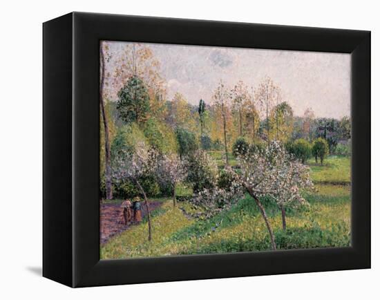 Apple Trees in Blossom, Eragny, 1895-Camille Pissarro-Framed Premier Image Canvas