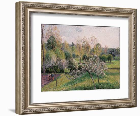 Apple Trees in Blossom, Eragny, 1895-Camille Pissarro-Framed Giclee Print