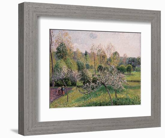 Apple Trees in Blossom, Eragny, 1895-Camille Pissarro-Framed Giclee Print