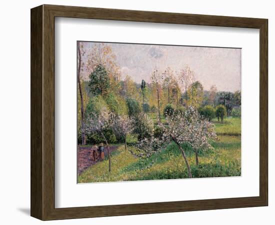 Apple Trees in Blossom, Eragny, 1895-Camille Pissarro-Framed Giclee Print