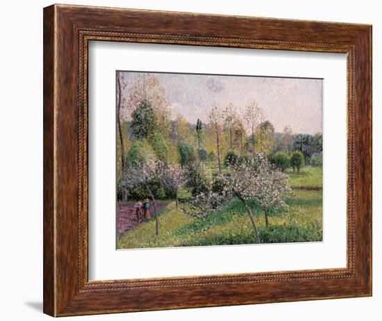 Apple Trees in Blossom, Eragny, 1895-Camille Pissarro-Framed Giclee Print