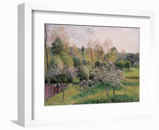 Apple Trees in Blossom, Eragny, 1895-Camille Pissarro-Framed Giclee Print