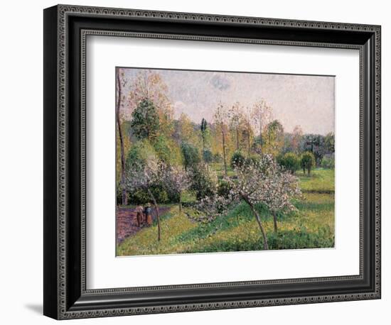 Apple Trees in Blossom, Eragny, 1895-Camille Pissarro-Framed Giclee Print