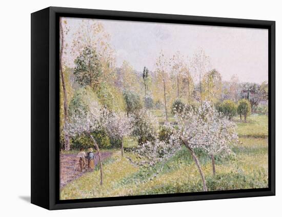 Apple Trees in Blossom, Eragny, 1895-Camille Pissarro-Framed Premier Image Canvas