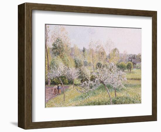 Apple Trees in Blossom, Eragny, 1895-Camille Pissarro-Framed Giclee Print