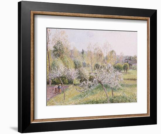 Apple Trees in Blossom, Eragny, 1895-Camille Pissarro-Framed Giclee Print