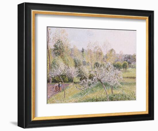 Apple Trees in Blossom, Eragny, 1895-Camille Pissarro-Framed Giclee Print