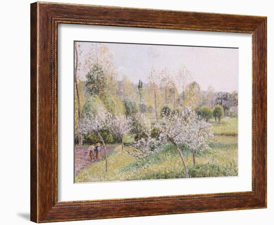 Apple Trees in Blossom, Eragny, 1895-Camille Pissarro-Framed Giclee Print