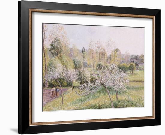 Apple Trees in Blossom, Eragny, 1895-Camille Pissarro-Framed Giclee Print