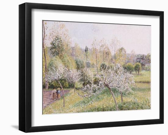 Apple Trees in Blossom, Eragny, 1895-Camille Pissarro-Framed Giclee Print