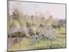 Apple Trees in Blossom, Eragny, 1895-Camille Pissarro-Mounted Giclee Print