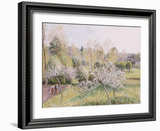 Apple Trees in Blossom, Eragny, 1895-Camille Pissarro-Framed Giclee Print