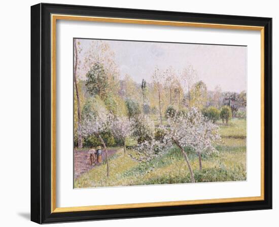 Apple Trees in Blossom, Eragny, 1895-Camille Pissarro-Framed Giclee Print