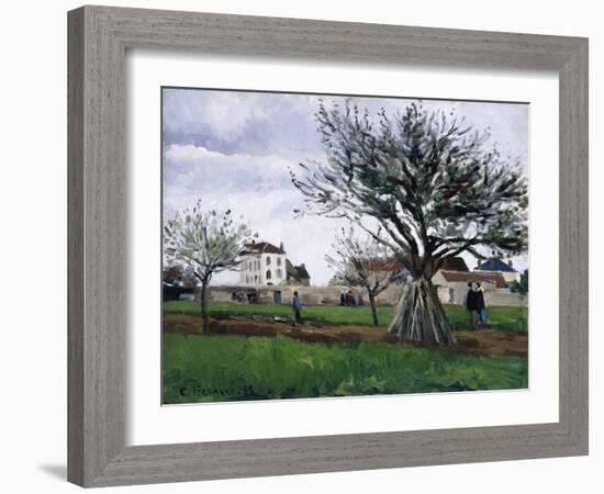 Apple Trees in Pontoise-Camille Pissarro-Framed Giclee Print