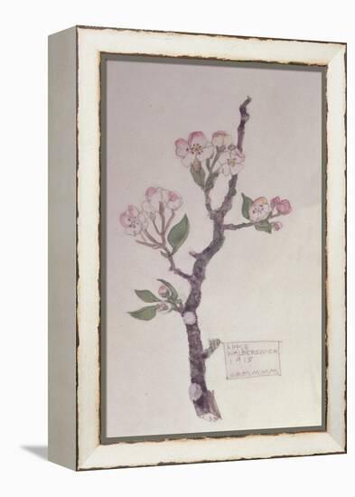 Apple, Walberswick, 1915-Charles Rennie Mackintosh-Framed Premier Image Canvas