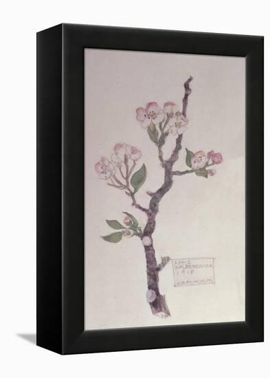 Apple, Walberswick, 1915-Charles Rennie Mackintosh-Framed Premier Image Canvas