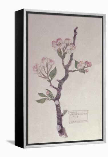 Apple, Walberswick, 1915-Charles Rennie Mackintosh-Framed Premier Image Canvas
