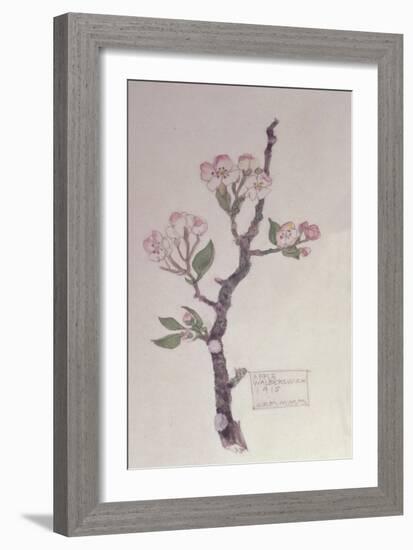 Apple, Walberswick, 1915-Charles Rennie Mackintosh-Framed Giclee Print