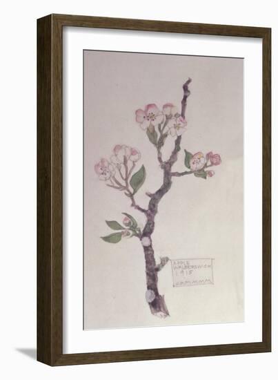 Apple, Walberswick, 1915-Charles Rennie Mackintosh-Framed Giclee Print