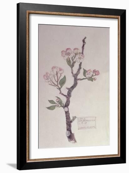 Apple, Walberswick, 1915-Charles Rennie Mackintosh-Framed Giclee Print