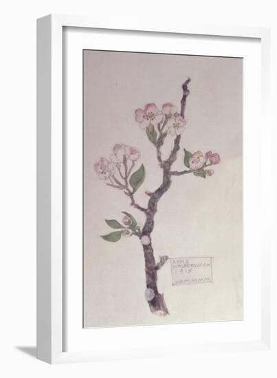 Apple, Walberswick, 1915-Charles Rennie Mackintosh-Framed Giclee Print