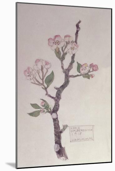 Apple, Walberswick, 1915-Charles Rennie Mackintosh-Mounted Giclee Print