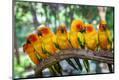 Photographic Print