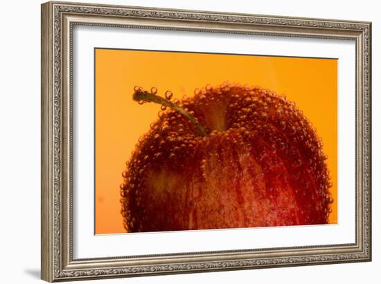 Apple-Gordon Semmens-Framed Photographic Print