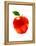 Apple-Enrico Varrasso-Framed Stretched Canvas